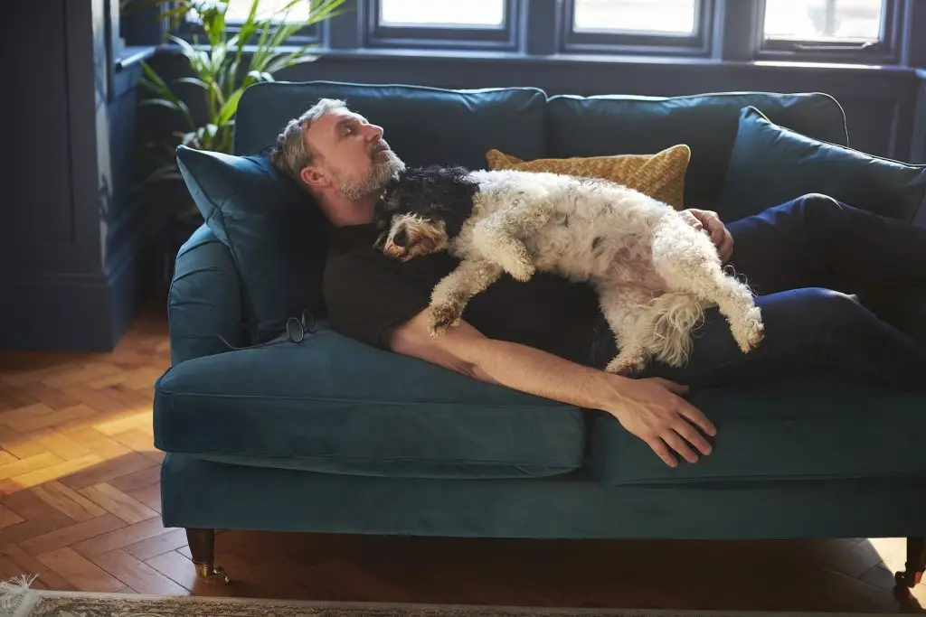 man's best friend